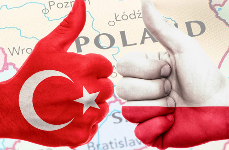 Türk Hukuku Danışmanlığı